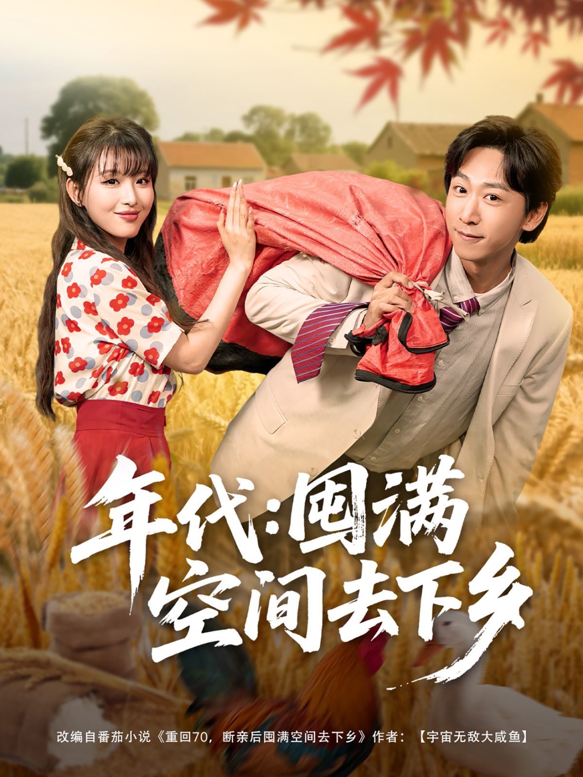 年代囤滿(mǎn)空間去下鄉(xiāng)(全集)