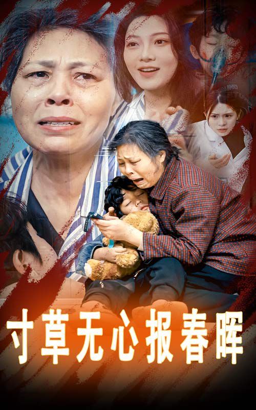 寸草無心報春暉-孝子慈孫(全集)