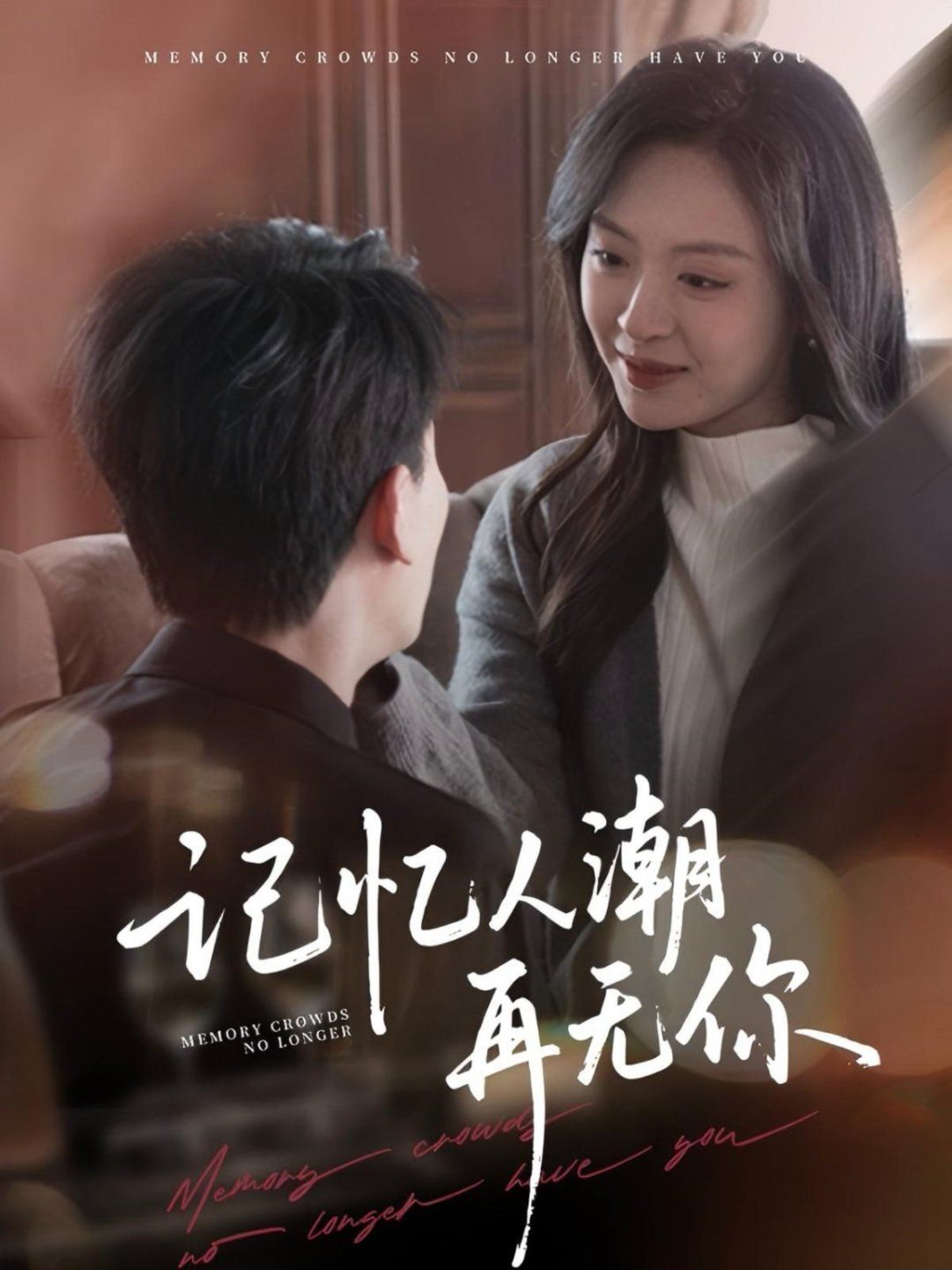 記憶人潮再無(wú)你(全集)