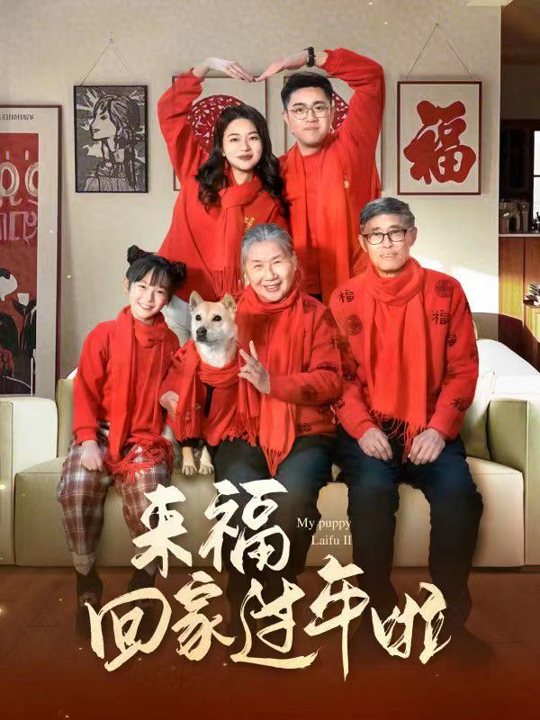 來?；丶疫^年啦(全集)