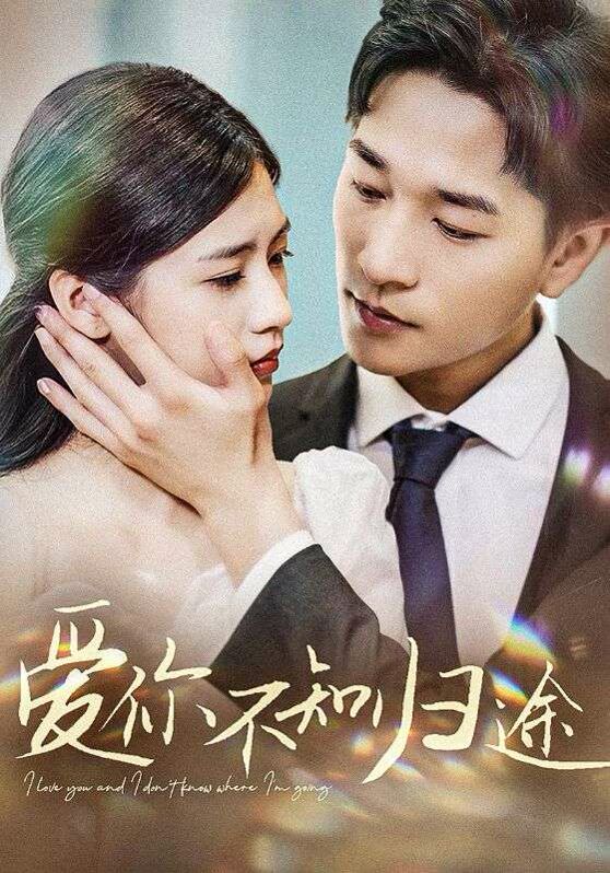 愛(ài)你不知?dú)w途（愛(ài)你漫漫長(zhǎng)路）(全集)