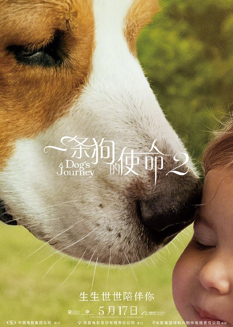 一條狗的使命2(普通話(huà)版)
