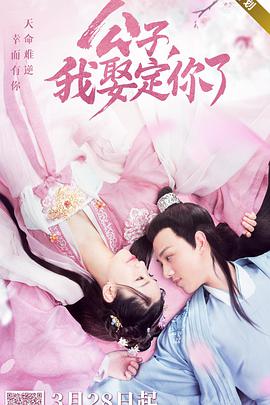 公子，我娶定你了(全集)