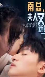 南總，夫人又出新款了(全集)