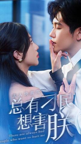 夫人快救駕，總有刁民想害朕(全集)