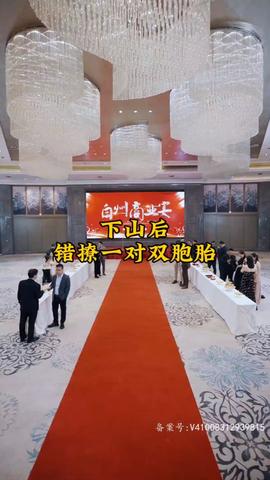 下山后，錯撩一對雙胞胎(全集)