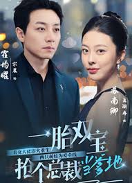 一胎雙寶，搶個總裁當?shù)?全集)