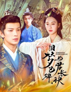 舊夢已碎，與君長訣＆終是深情錯付君(全集)