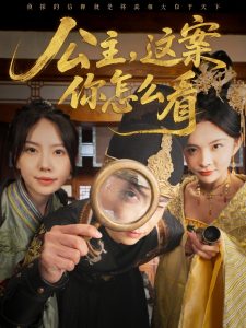 公主，這案你怎么看(全集)