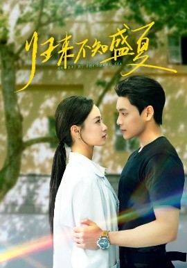 歸來不知盛夏(全集)