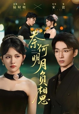 奈何明月負(fù)相思(全集)