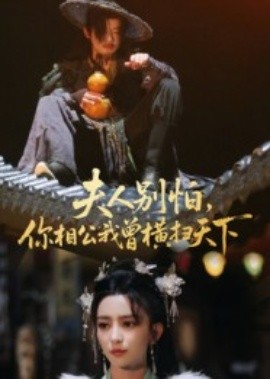 夫人別怕，你相公我曾橫掃天下(全集)