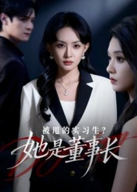 被甩的實(shí)習(xí)生？她是董事長！(全集)