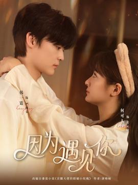 因?yàn)橛鲆娔?全集)