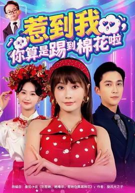 惹到我，你算是踢到棉花啦(全集)