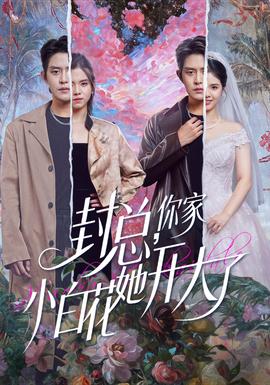 封總，你家小白花她開大了(全集)