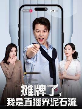 攤牌了，我是直播界泥石流(全集)