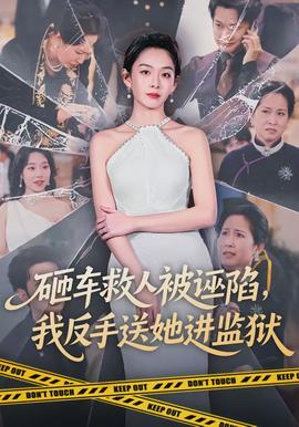 砸車救人被誣陷，我反手送她進(jìn)監(jiān)獄(全集)