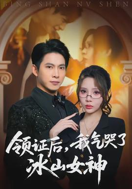 領(lǐng)證后，我氣哭了冰山女神(全集)