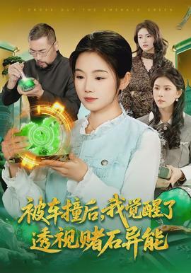 被車撞后，我覺醒了透視賭石異能了(全集)