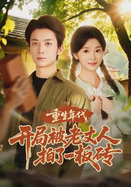 重生年代開局被老丈人拍了一板磚(全集)