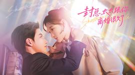 封總，太太跟你離婚很久了(全集)