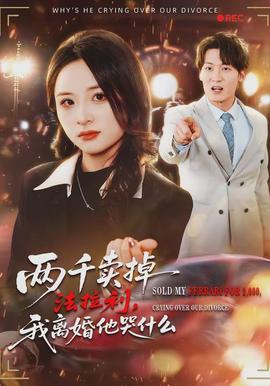 兩千賣掉法拉利，我離婚他哭什么(全集)