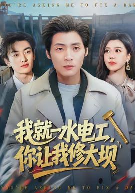 我就一水電工，你讓我修大壩(全集)