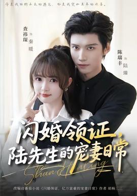 閃婚領(lǐng)證，陸先生的寵妻日常(全集)