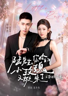 陸先生，你撿的小玫瑰又掀桌了之荊棘玫瑰(全集)